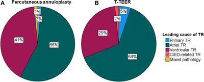 Comparison of procedural characteristics of percutaneous annuloplasty and edge-to-edge repair for the treatment of severe tricuspid regurgitation